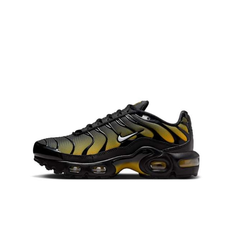 Nike Air Max Plus "Black & University Gold"